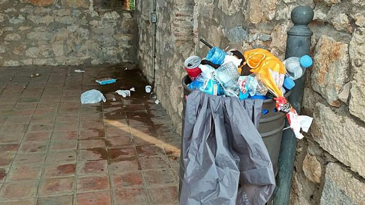 Brutícia i deixadesa a la muralla de  Girona.  | DDG