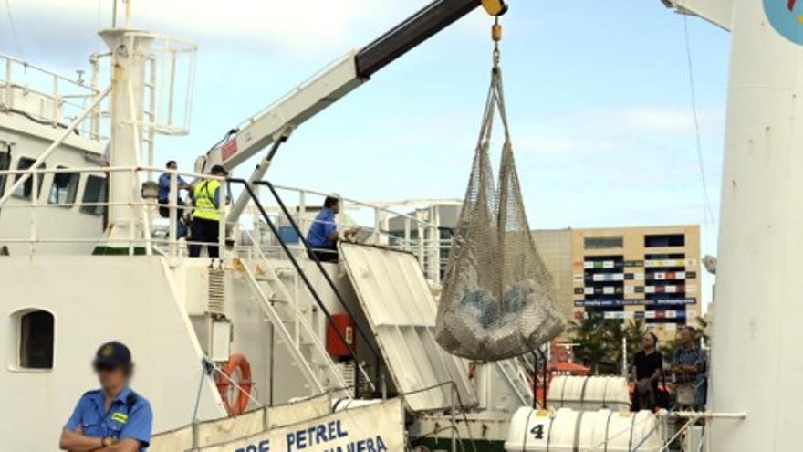 El &#039;Petrel&#039; intercepta 450 kilos de cocaína a 1.600 millas de las Islas