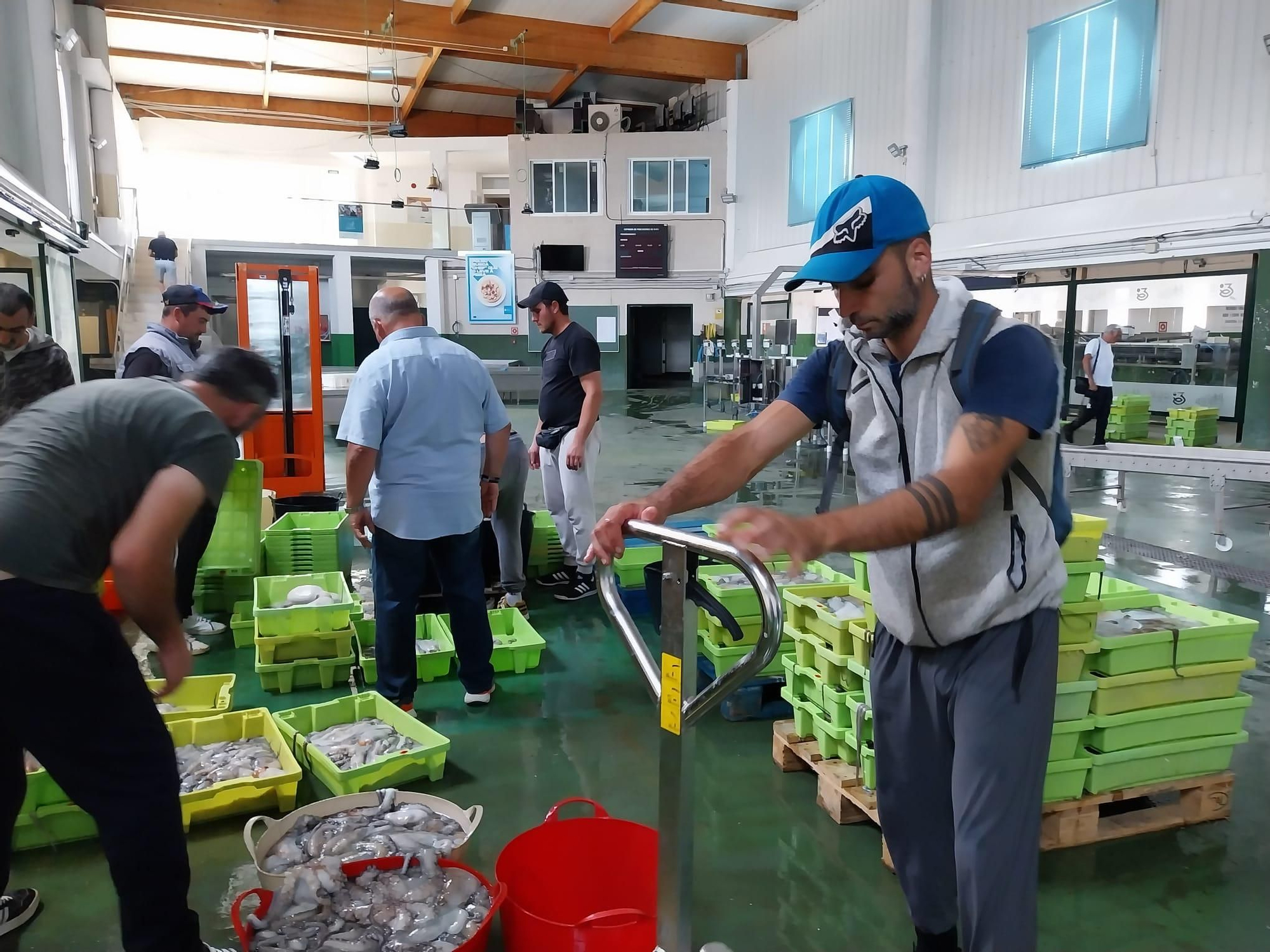 El inicio de la campaña del pulpo en el puerto de Bueu
