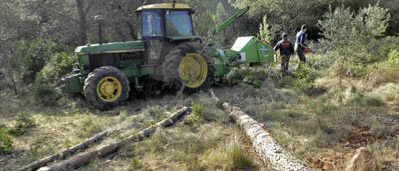 Medio Ambiente rechaza la política de cortafuegos y alarma al sector forestal