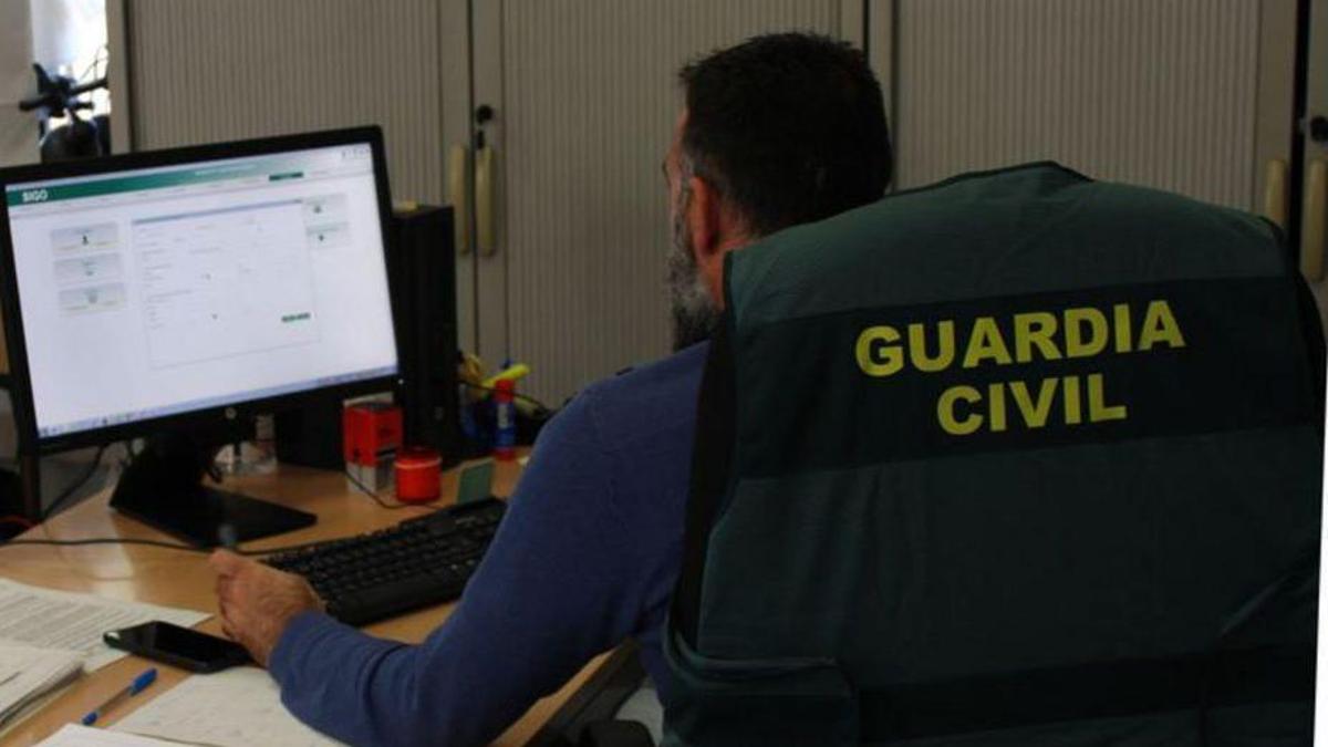 Un agente de la Guardia Civil inspecciona datos en una web.