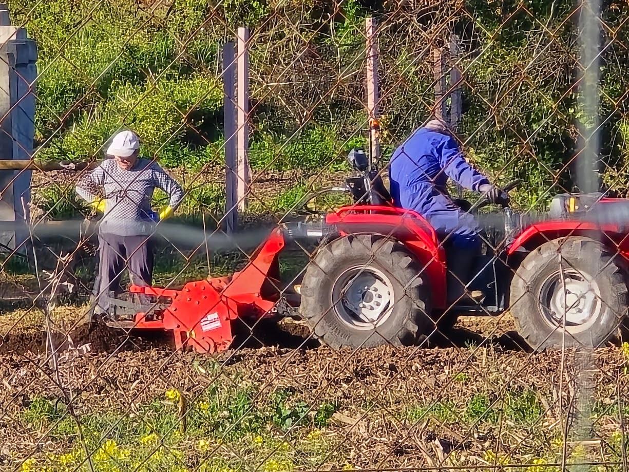 Arousanos aprovechando el buen tiempo para preparar sus tierras de cultivo.