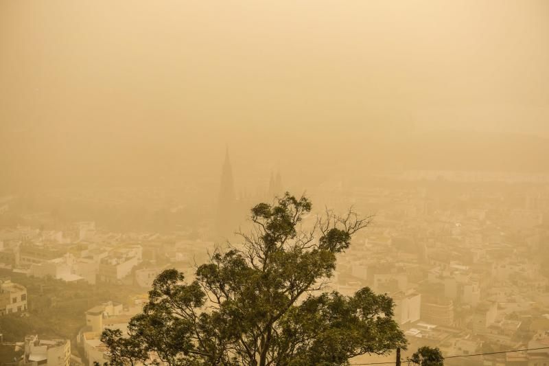 Las Palmas de Gran Canaria. calima  | 22/02/2020 | Fotógrafo: José Carlos Guerra