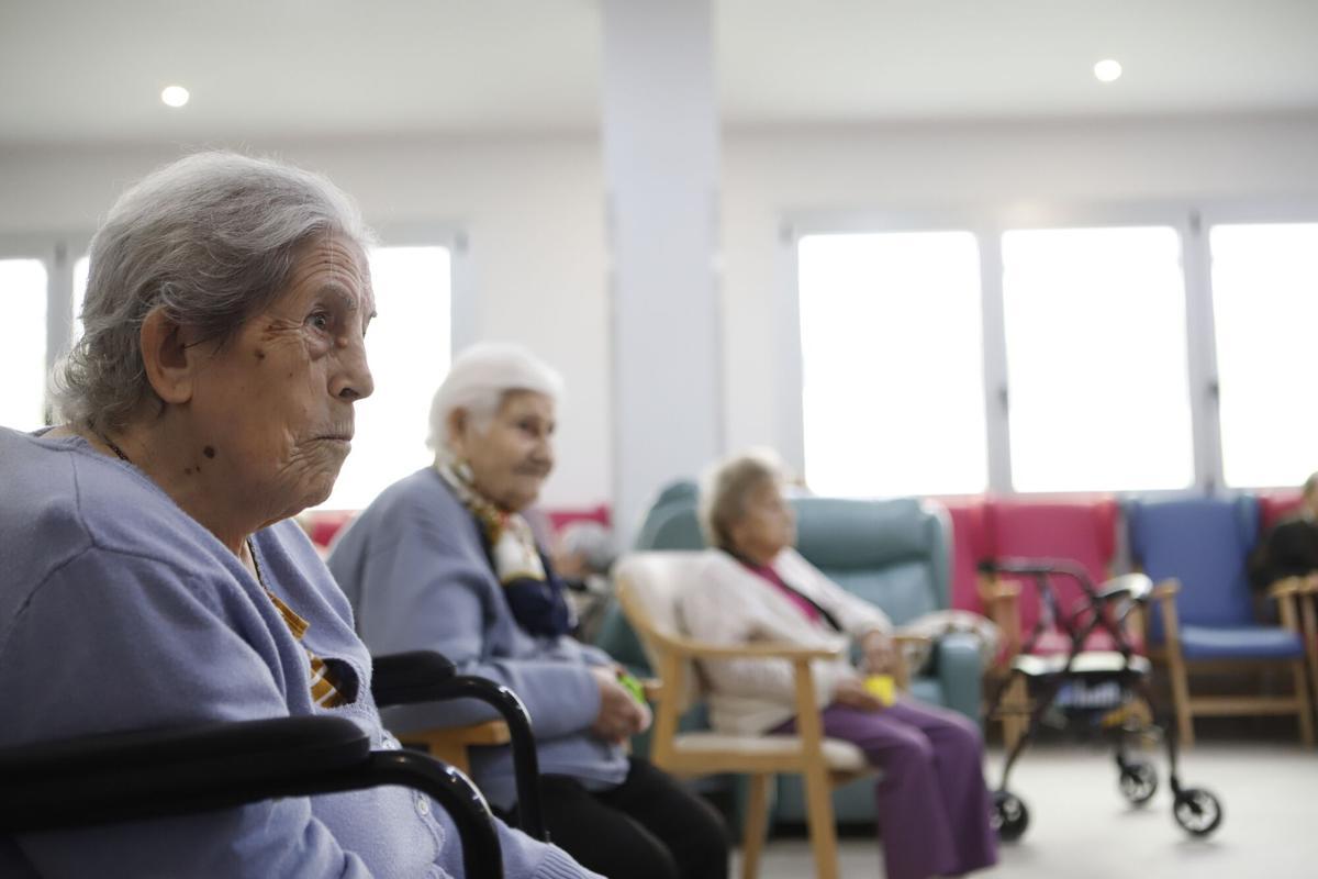 Frida, la perra de terapia asistida en una residencia de Zaragoza