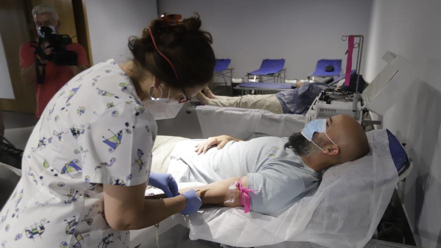 La Fundación Cajasol acoge este jueves una campaña especial de donación de sangre