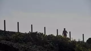 ¿Qué tiempo hará este viernes en Canarias?