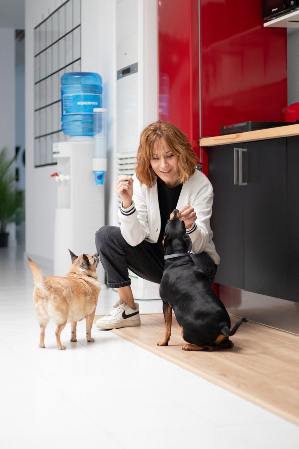 Trabajadora de Diversual con su mascota en la oficina.