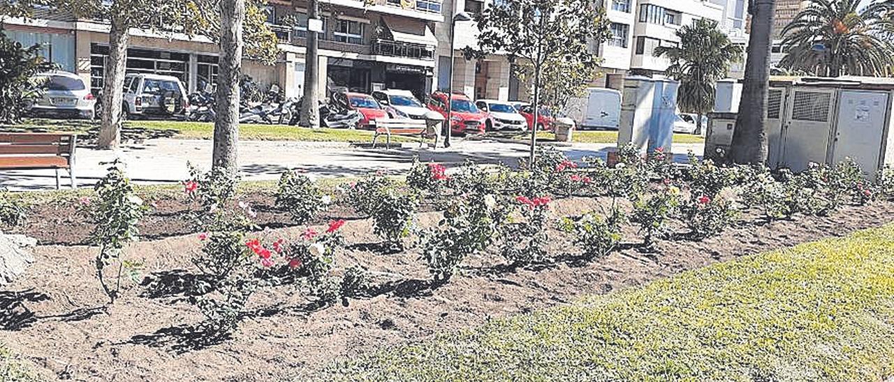 Una rosaleda para el Paseo de la Alameda