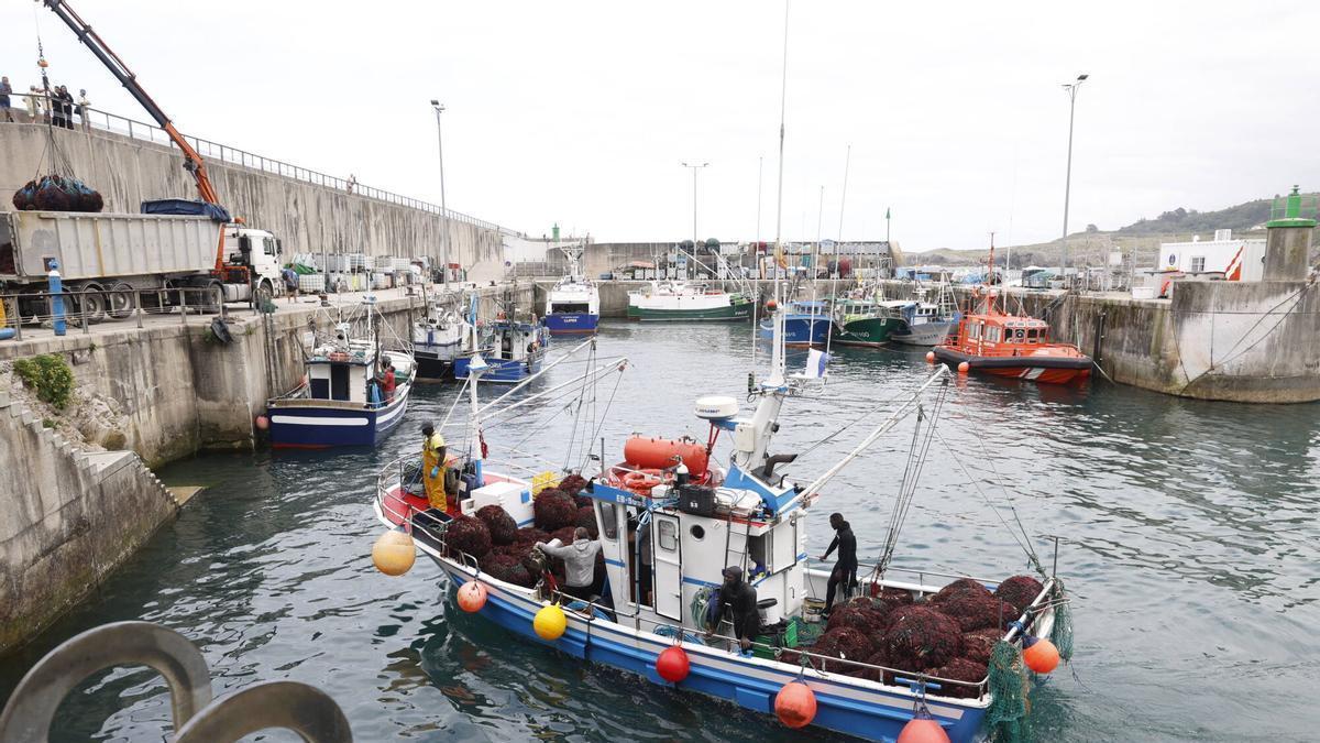 La Cofradía de Pescadores de Llanes, "Pueblo Ejemplar de Asturias 2026".
