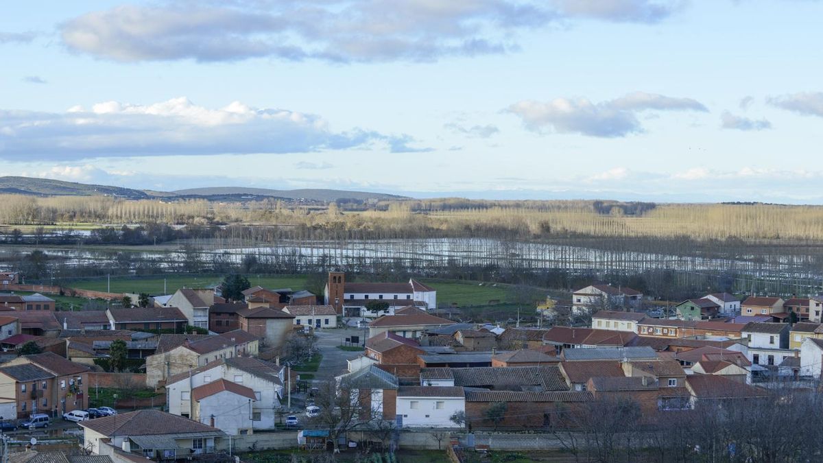 La vega de Morales de Rey y Fresno, afectada por el desbordamiento del Eria.