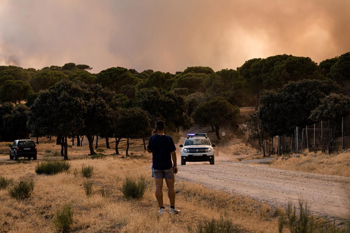 Los incendios de Madrid, con afectaciones en Castilla y León y Castilla-La Mancha, en imágenes.