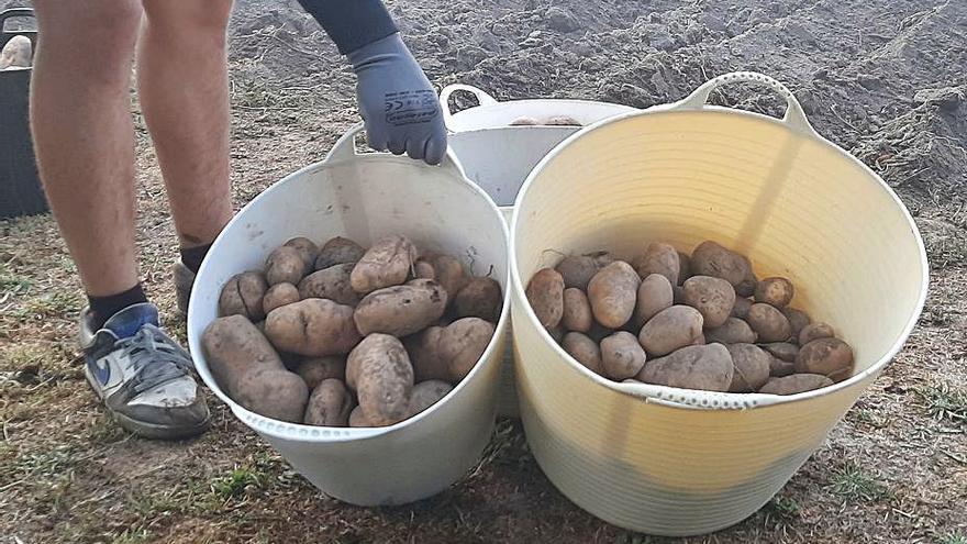 Guía para luchar contra la polilla