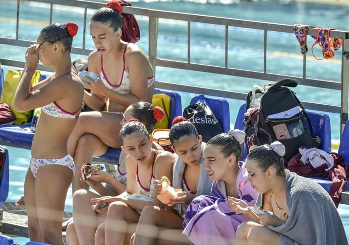 LAS PALMAS DE GRAN CANARIA A 28/05/2017. Natación sincronizada / Final de dúo libre y de dúo mixto de la competición internacional en la piscina  Metropole. FOTO: J.PÉREZ CURBELO