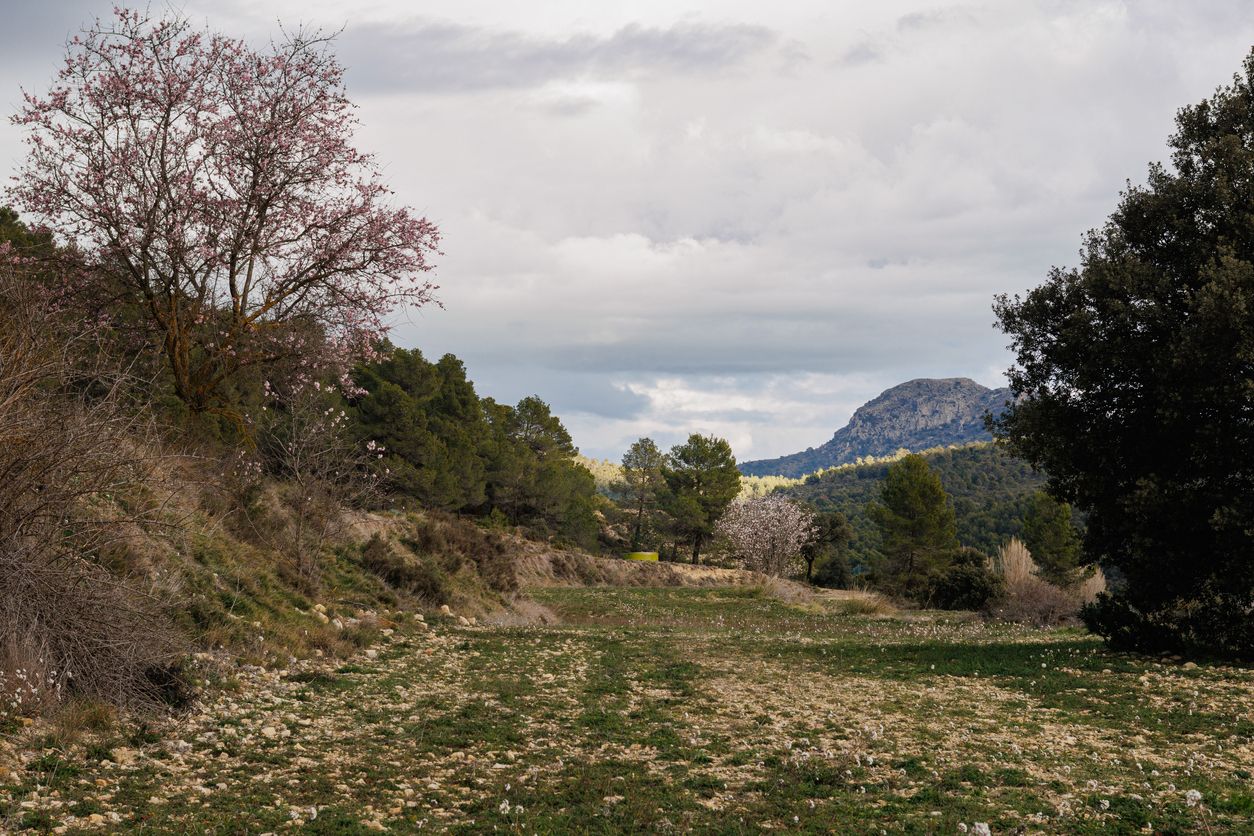 La preciosa Sierra de Mariola