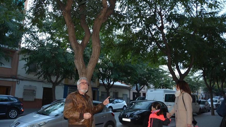 El concejal Vergara señala los árboles sin podar en la avenida Juan XXIII de Cieza.