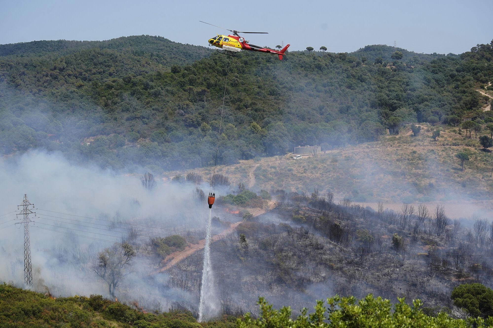 Girona zona boscosa font de la pólvora sant Daniel incendi forestal