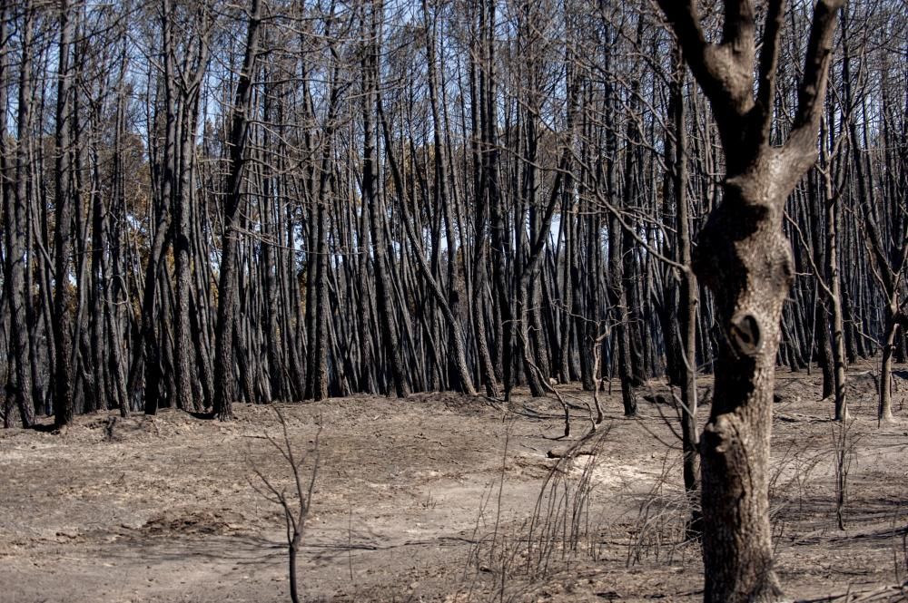 Incendio de Verín y Vilardevós