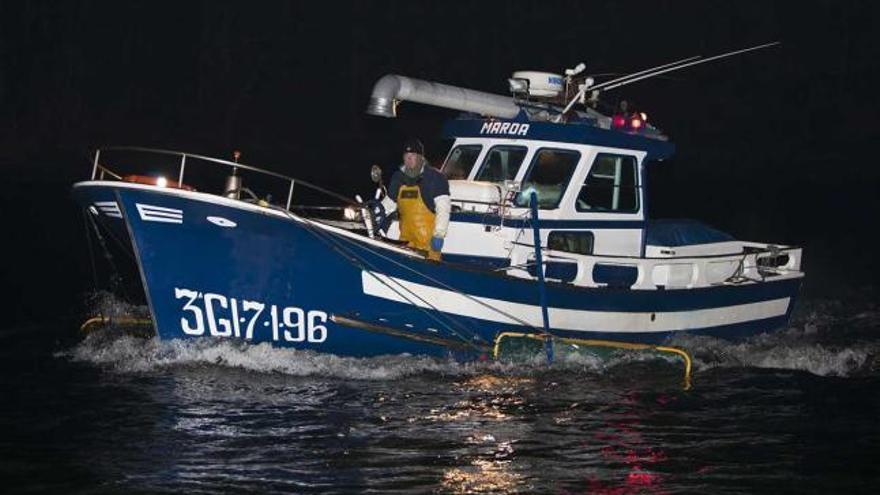 Ciudadanos urge medidas que ofrezcan perspectivas de futuro a la pesca de la angula