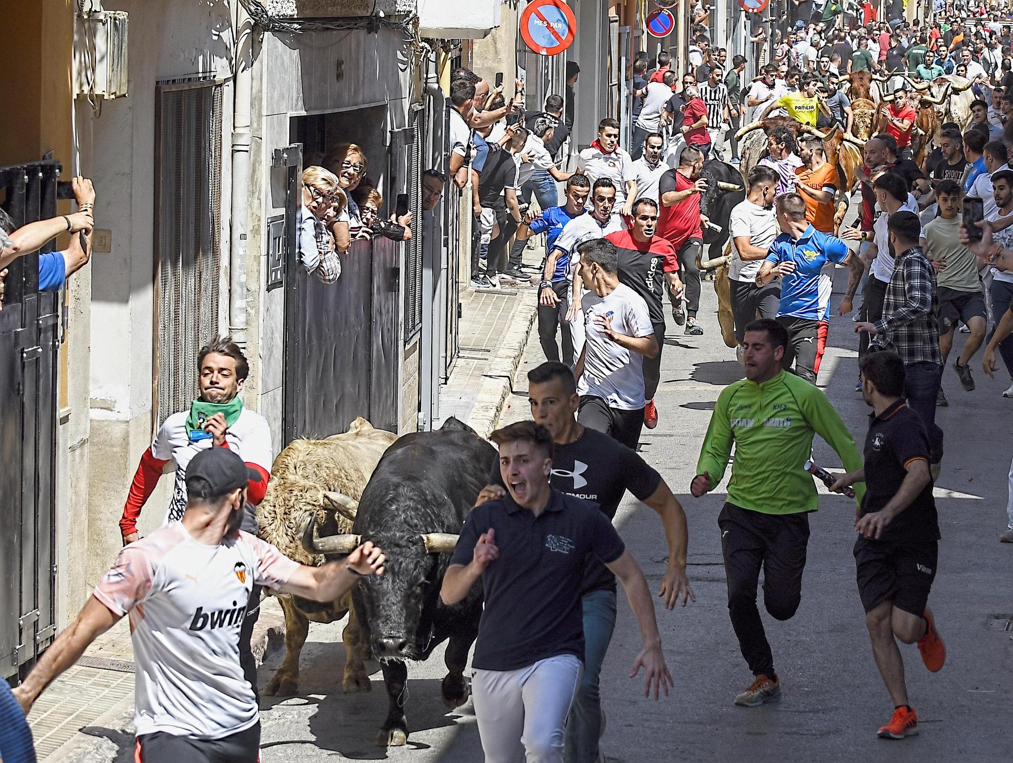 MACROGALERÍA DE FOTOS: Búscate en el encierro y los primeros 'bous' de las fiestas de Almassora