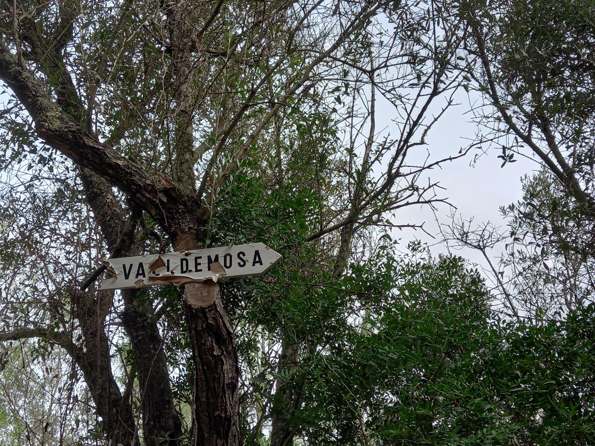 Operation Wegweiser: Wandern auf Mallorca im Schilderwald