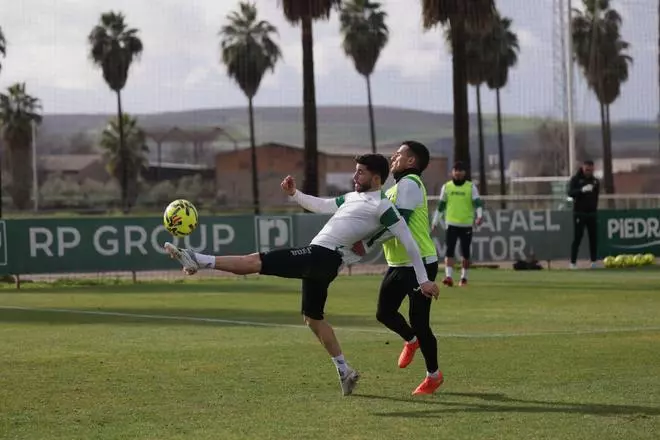 Córdoba CF-Málaga: altas, bajas y posibles onces para el derbi