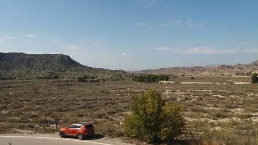 Terrenos afectados por la planta solar junto a la carretera de Busot, con la Serra Sevila a la izquierda.