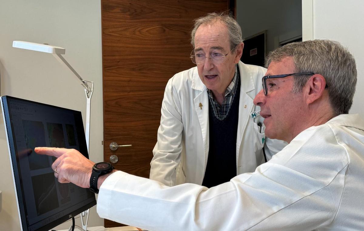 Los doctores Laborda e Hidalgo, en el Hospital Arruzafa.