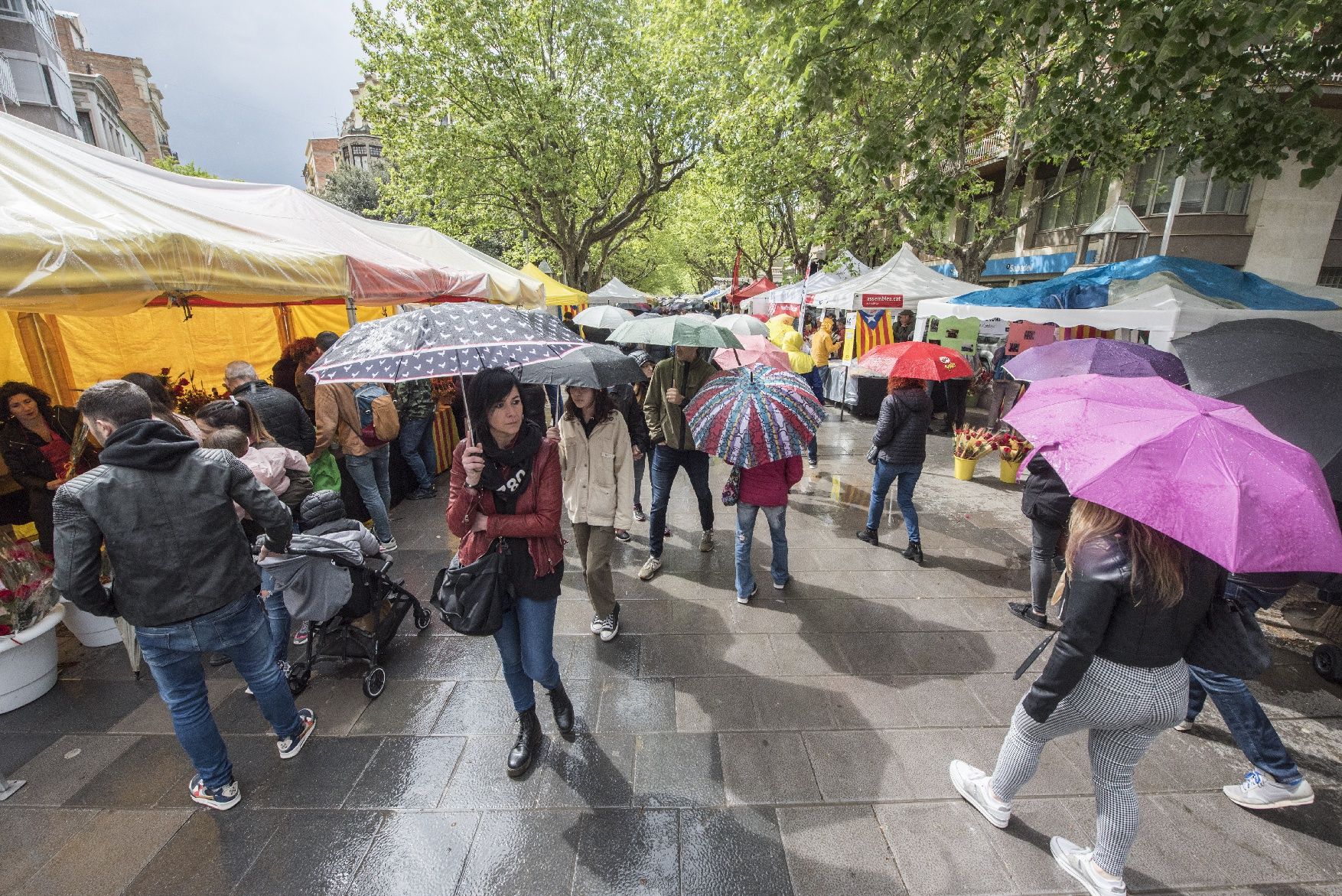 Sant Jordi a Manresa 2022