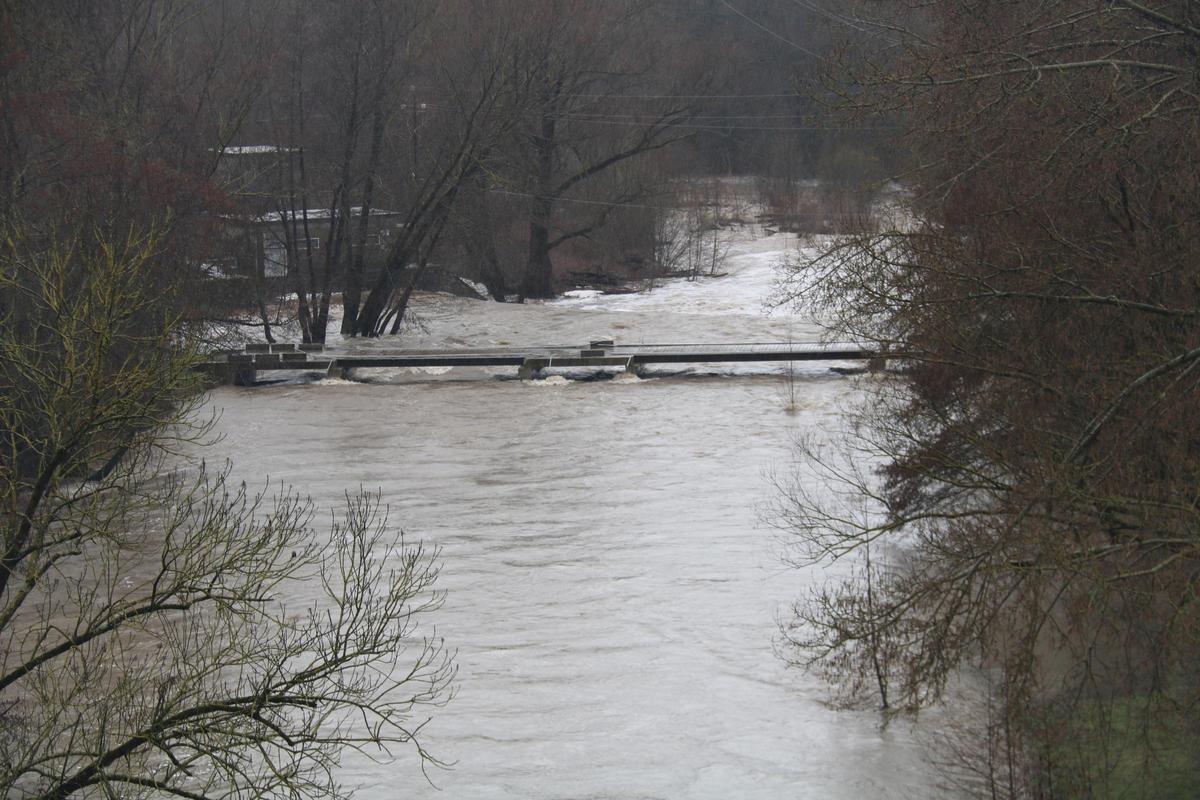 Una passera al límit d'aigua del riu Ter, a Sant Joan de les Abadesses.