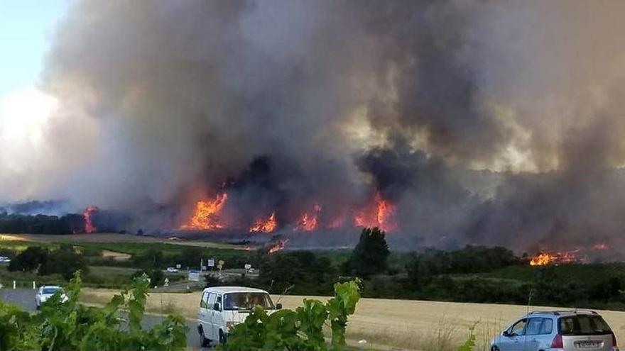 les flames a la vora de la carretera a Argelers.