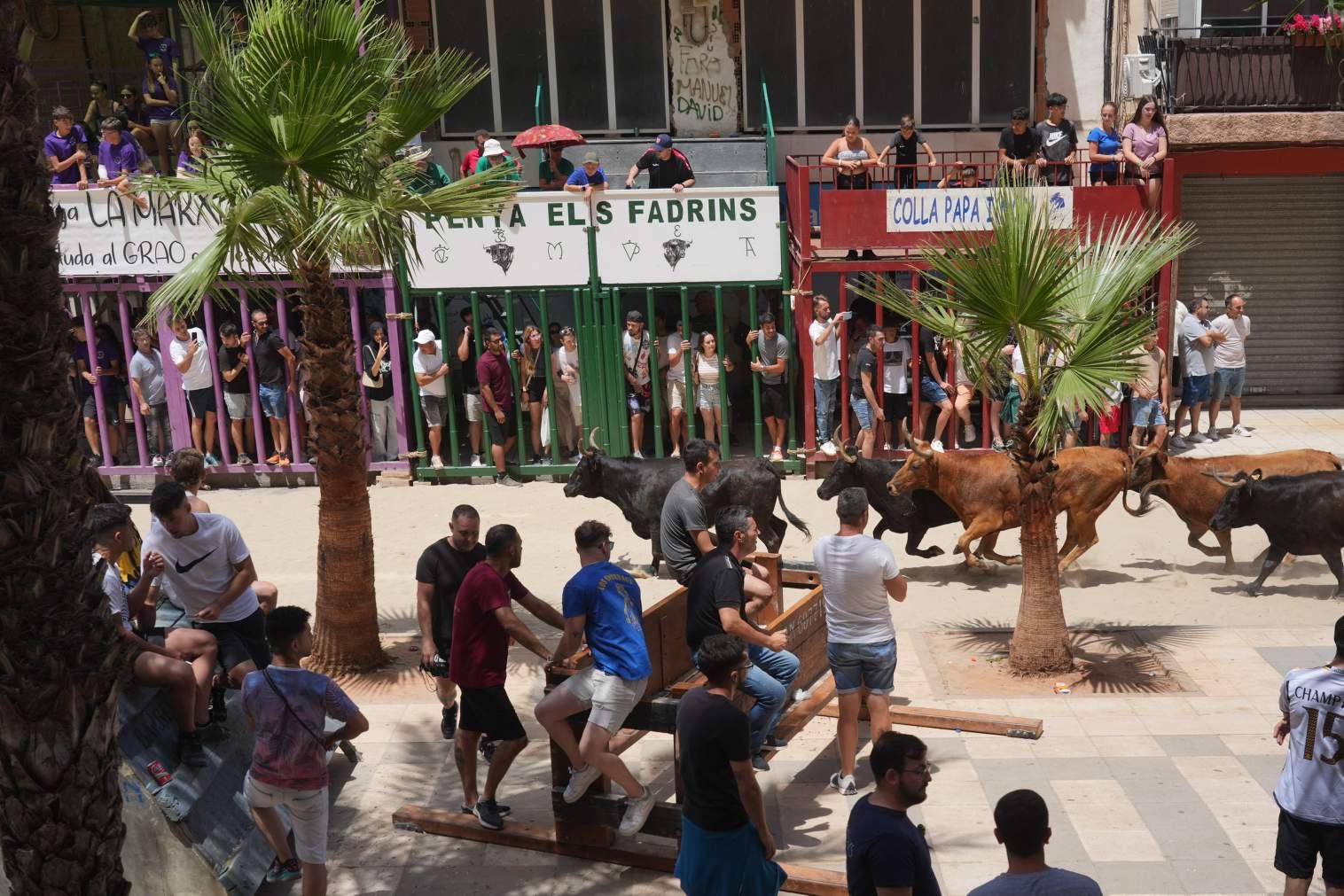 El Grau da inicio a las fiestas de Sant Pere con pólvora, bous y música