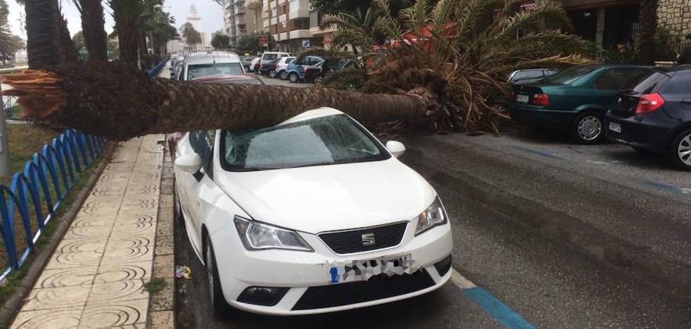 Temporal de viento y lluvia en Málaga