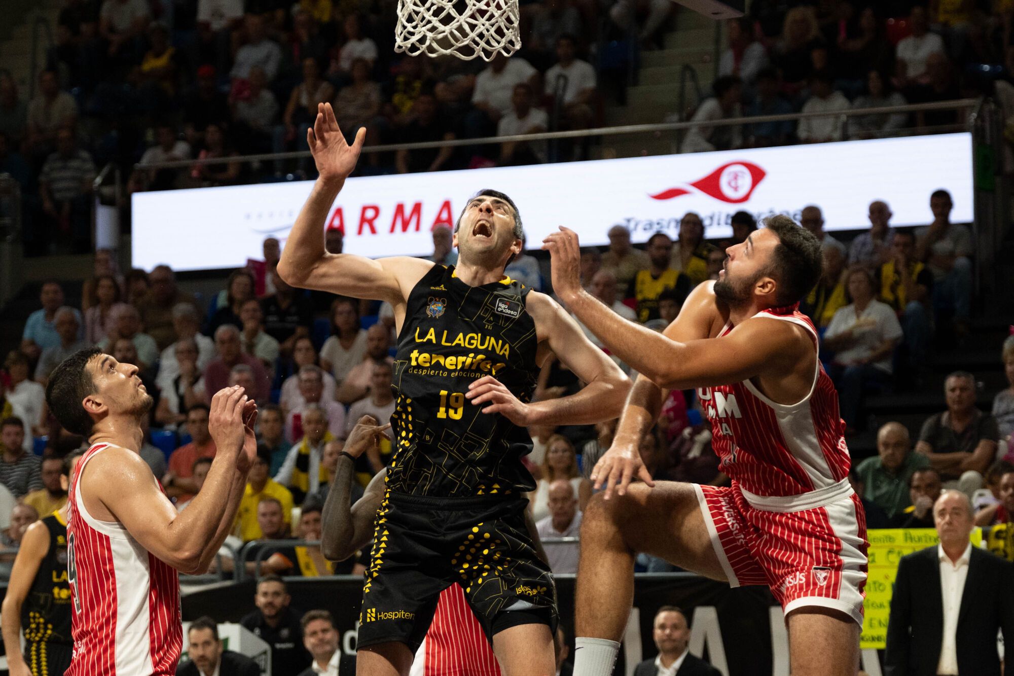 Baloncesto: La Laguna Tenerife CB Canarias - UCAM Murcia