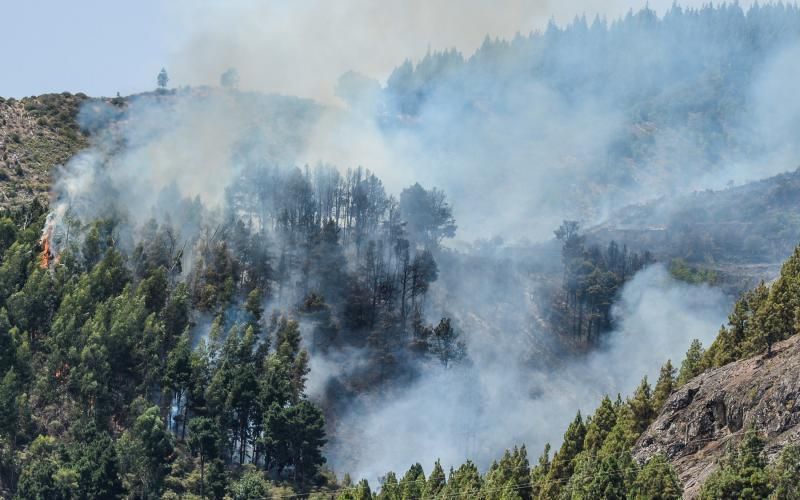 Incendio en  Gran Canaria