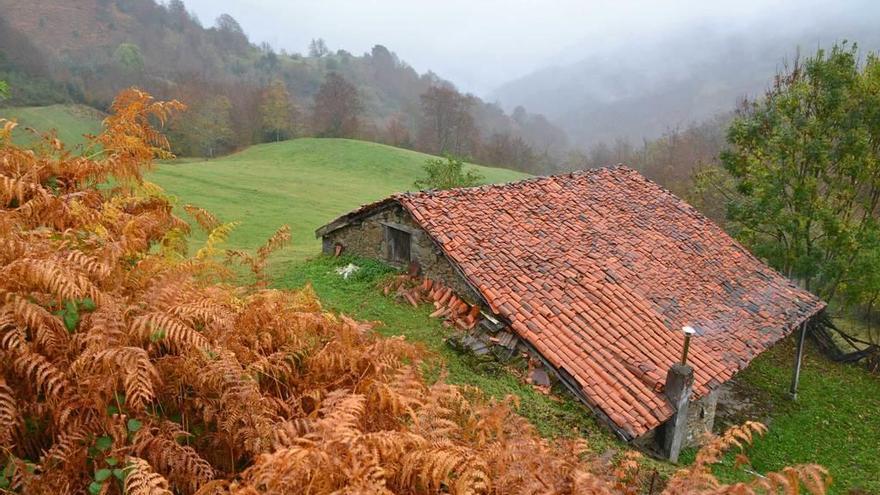 Cabaña en Peloño.