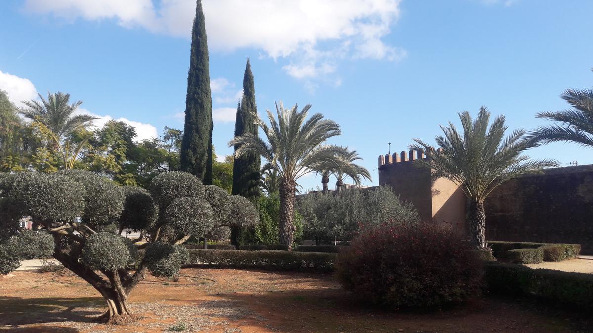 Detalle del jardín de entrada a Mascarell.