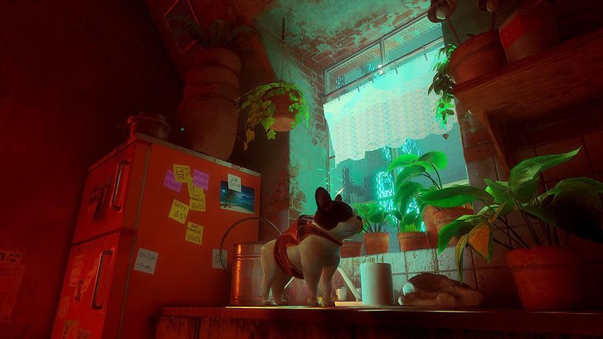 Stray: la primera modificación para PC reemplaza al querido gato protagonista por un perro