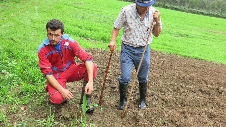 Ricardo Granda y Luis Cueto, en la plantación destrozada de Luces.