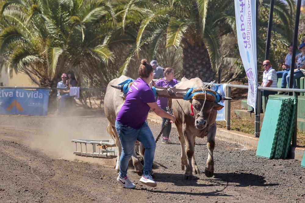 Tributo a la mujer en el deporte autóctono