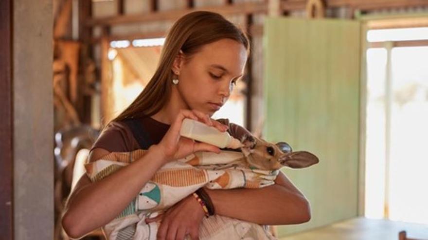 Kangaroo, una aventura en Australia
