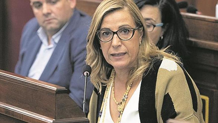 El PP reclama a la Diputación que solucione la plaga de mosquitos