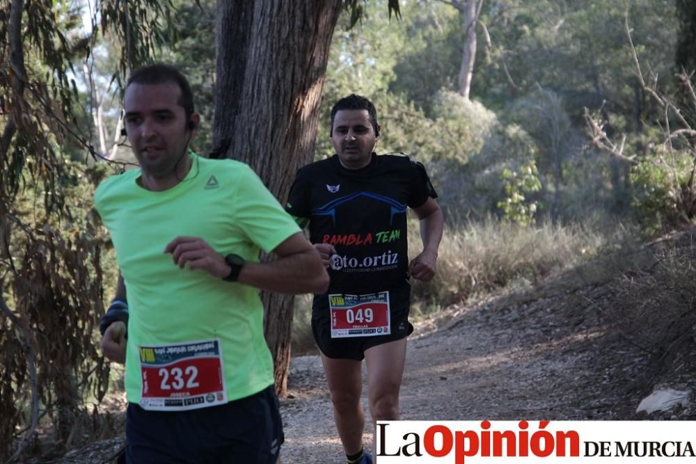 San Jorge Dragon en La Alcayna