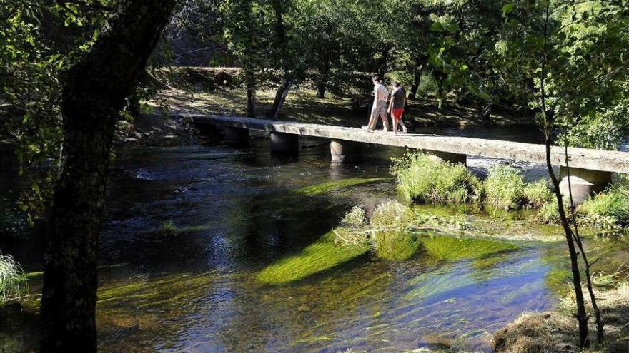 Toiriz | El Concello trabaja en las tareas de desbroce para que esta área recreativa presente un buen estado durante toda la época estival. La playa de O Abeseiro, que es la denominación oficial, está situada a orillas del río Arnego y cuenta con un merendero con mesas y parrilladas. La playa tiene además una inscripción rupestre declarada Bien de Interés Cultural. Pertenece a Os Sobreirais do Arnego y también forma parte de una ruta de senderismo.