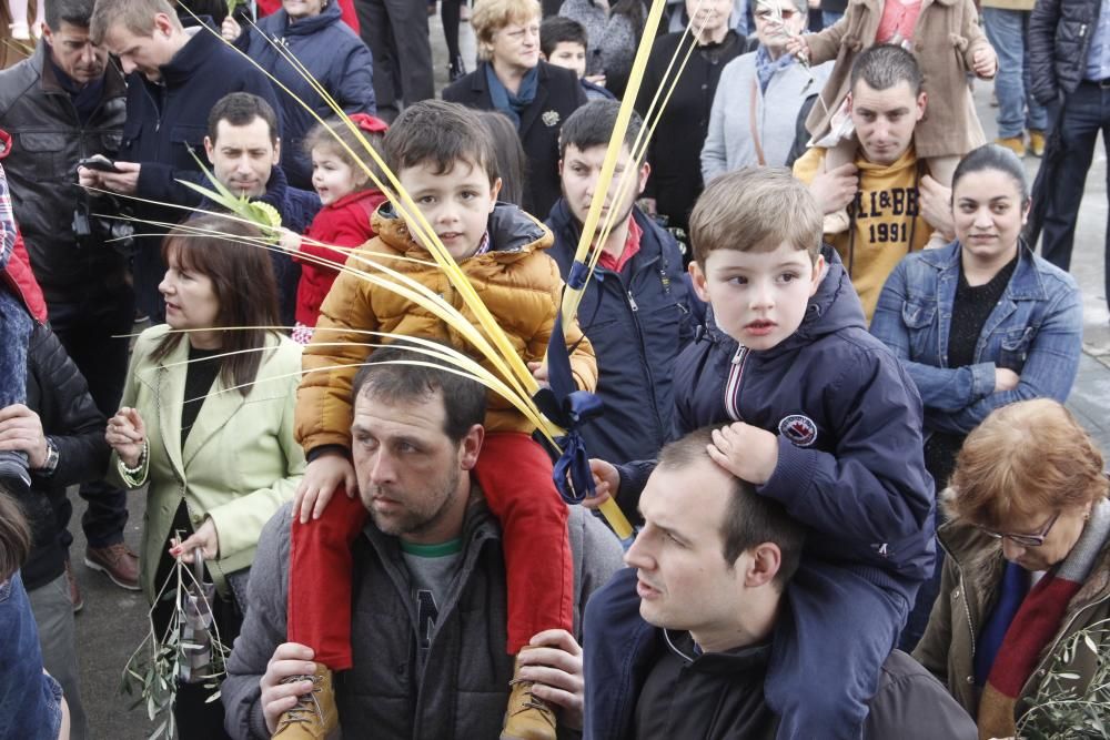 Semana Santa 2016 en Morrazo | Una mula, centro de todas las miradas en el Domingo de Ramos de Moaña