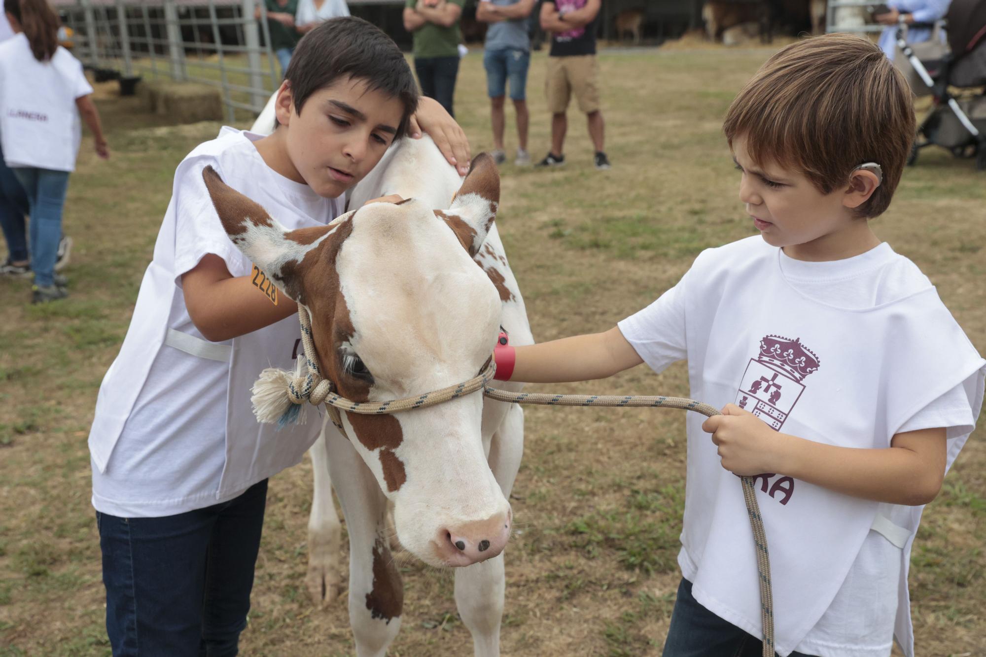 Los jóvenes de Llanera aprenden a manejar el ganado