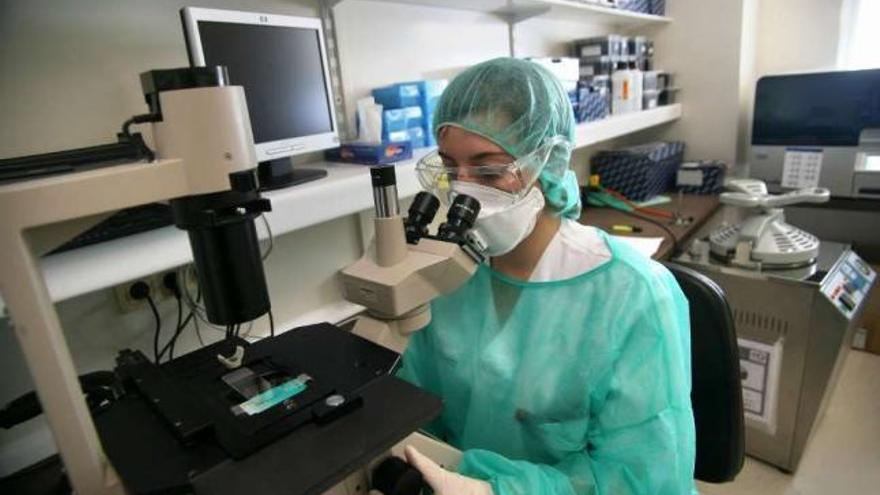 Una mujer investiga en un hospital gallego. / carlos pereira