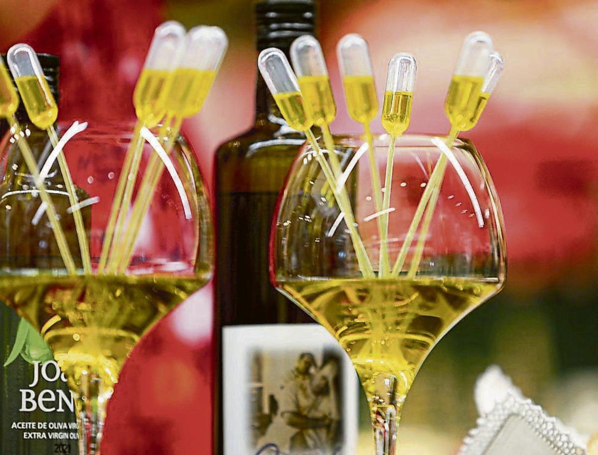 Olive oil with PGI status | TONI ESCOBAR