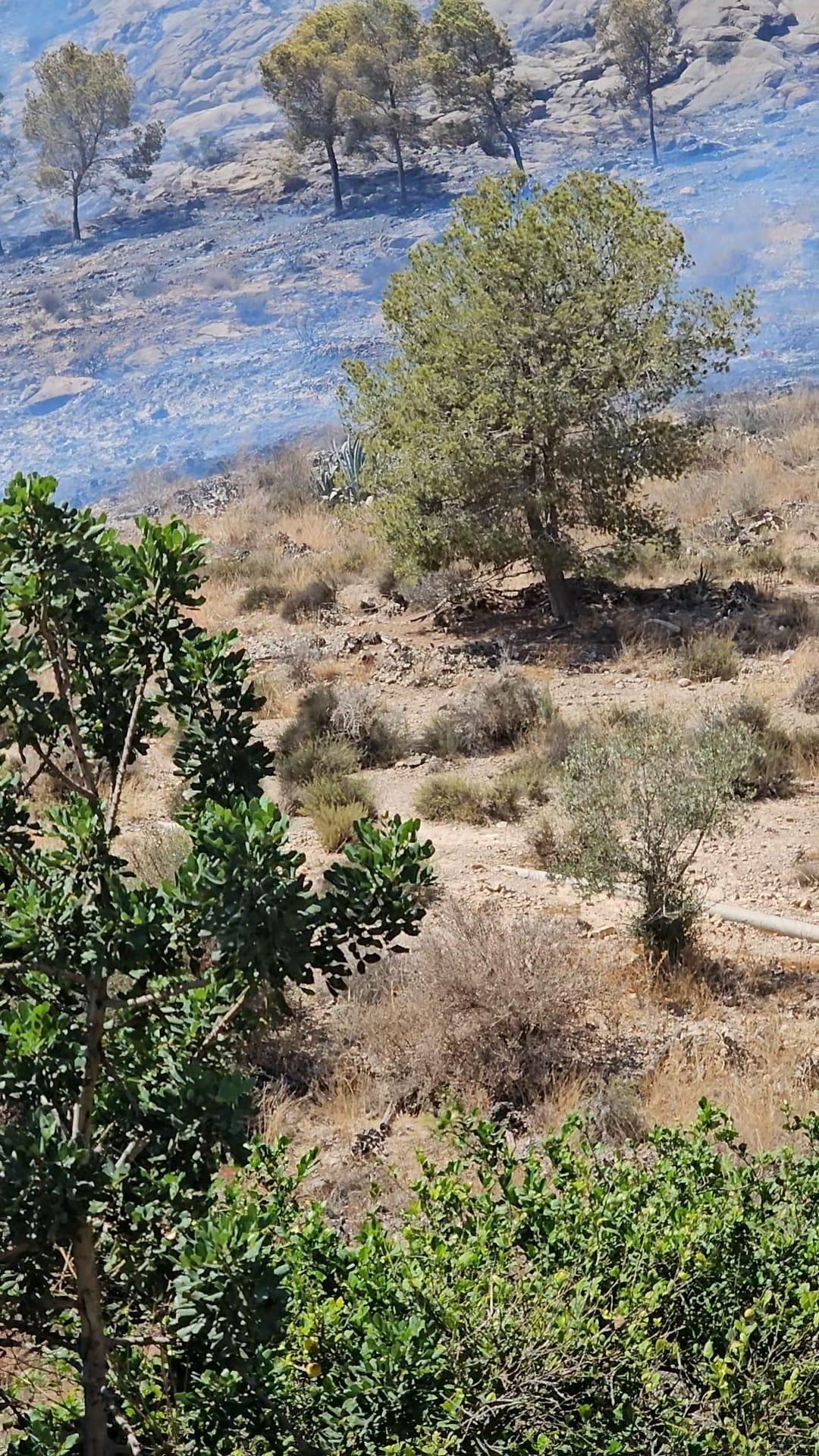 Controlado el incendio forestal que afectaba a la Sierra de Orihuela en La Aparecida