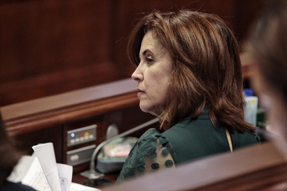 Pleno en el Parlamento de Canarias 11-02-2020  | 11/02/2020 | Fotógrafo: María Pisaca Gámez