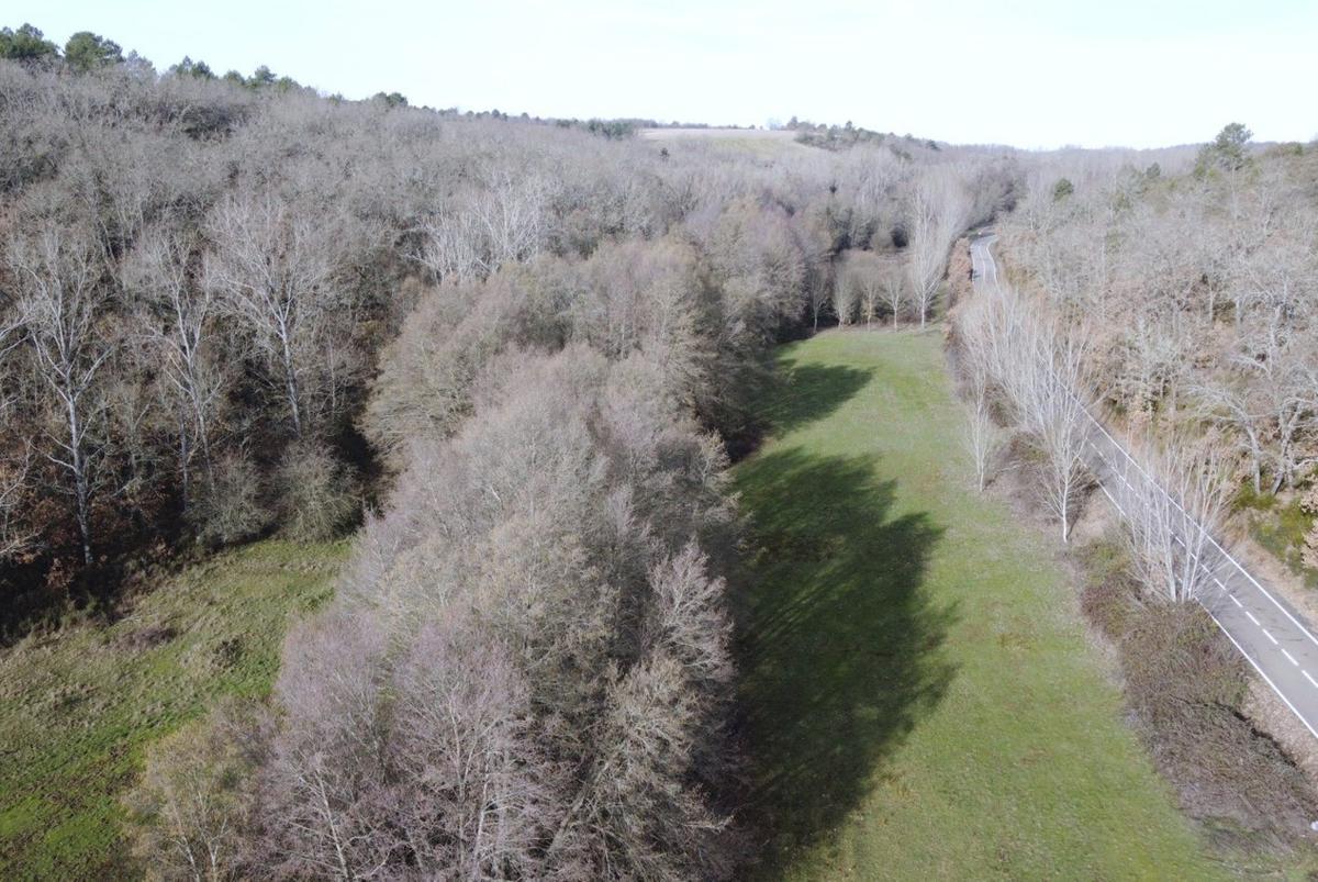 Área de la ribera de Alcorcillo donde se llevará a cabo el programa de formación y empleo.  | CH. S.